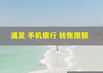 浦发 手机银行 转账限额